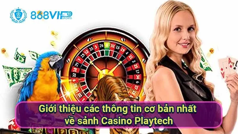 Sảnh Casino Playtech - Khám Phá Thế Giới Trò Chơi Đỉnh Cao 5 gioi-thieu-cac-thong-tin-co-ban-nhat-ve-sanh-casino-playtech