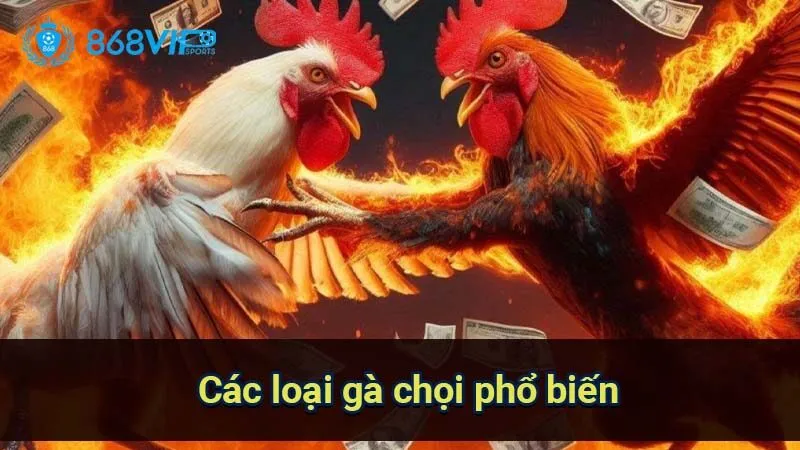 Sảnh Đá Gà Cock Fighting - Thế Giới Của Những Cuộc Chiến 7 cac-loai-ga-choi-pho-bien