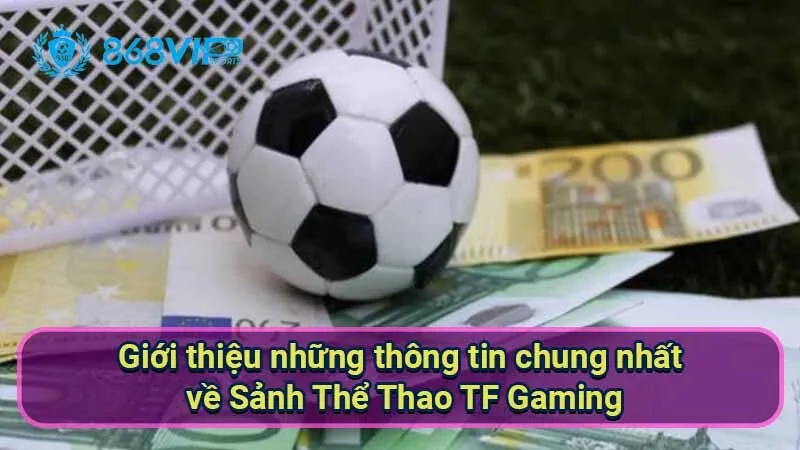 Sảnh Thể Thao TF Gaming - Khám Phá Nền Tảng Cá Cược Đỉnh Cao 5 gioi-thieu-nhung-thong-tin-chung-nhat-ve-sanh-the-thao-tf-gaming